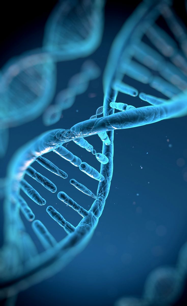 KM Labs Product Gallery 5